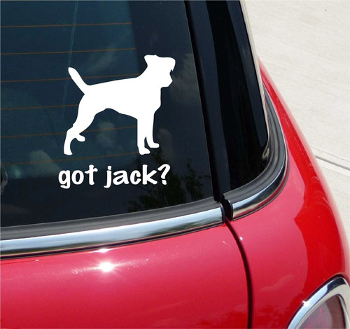 Got jack russell terrier - got, jack?