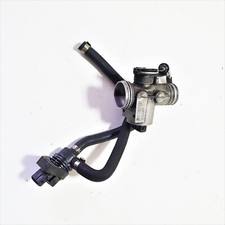 CORPO FARFALLATO MALAGUTI BLOG 160 2009 2010 2012