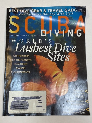 Scuba diving diver - diving,