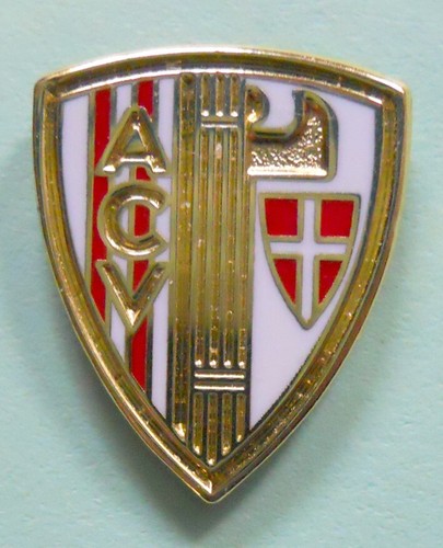 Distintivo spilla pin badge - spilla,