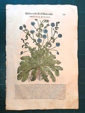MATTIOLI MATTHIOLI Erbario a