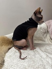 Sphynx T-Shirt Maglione Pile