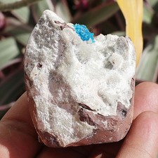 Abbagliante Cavansite su