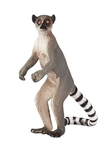 Mojo 387177 lemur - 387177, katta