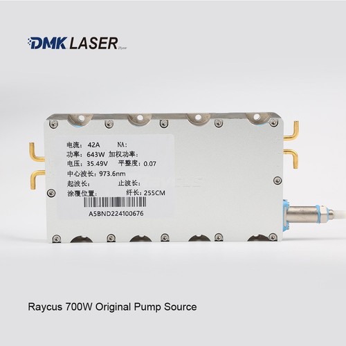 Pompa sorgente laser raycus - sorgente,