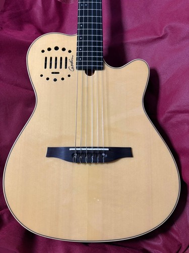 Chitarra elettrica acustica