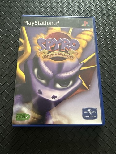 Spyro enter the dragonfly - enter,