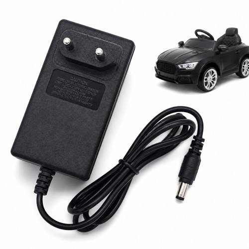 Caricabatterie 24v 1000ma - caricabatterie,
