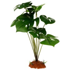  Piante Finte Per Terrario