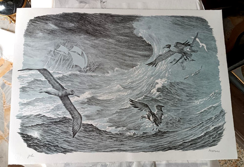 Litografia prova autore - litografia,