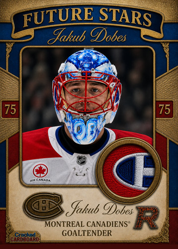 Jakub dobes rookie jersey card - dobes,