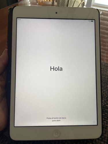 Apple ipad mini - apple, wifi