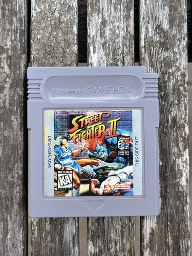 Street fighter the world - the,
