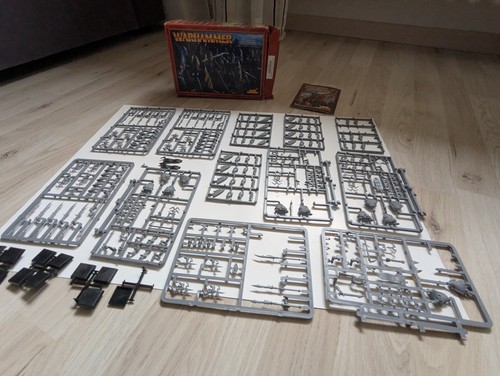 Warhammer guerriero elfi - guerriero,
