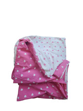 Pottery Barn Kids twin Duvet