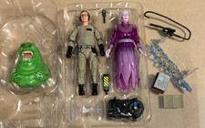 Haslab Ghostbusters Plasma