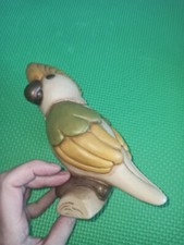 Thun pappagallo pappagallino