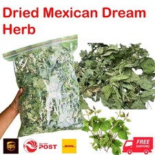 Calea Zacatechichi Mexican