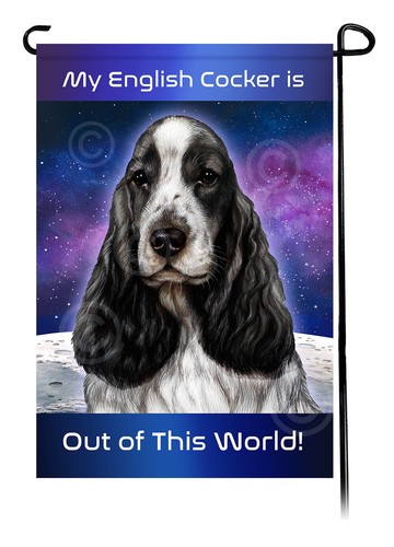 English cocker spaniel out - english, of