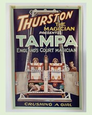 Tampa Englands Court Magician