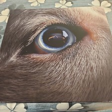 ROGER WATERS - The Dark Side