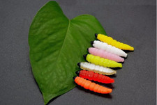 Combo 7 Camole Finte in Silicone Pesca Trota Lago Fiume Torrente Esca per Trote