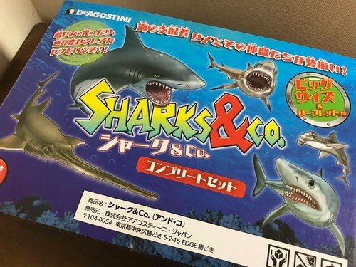 Shark and completo de - co.,