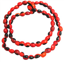 collare de peonia semilla