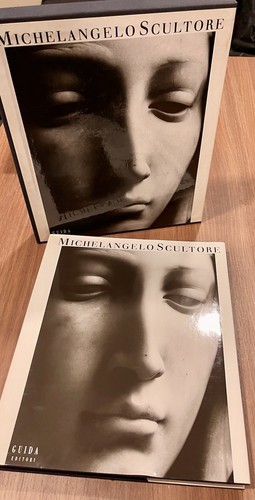 Michelangelo scultore - scultore,