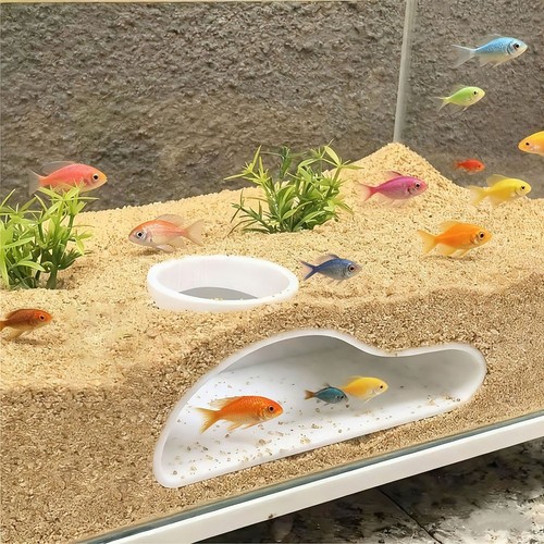 Tubo acquario tunnel pesce - acquario,