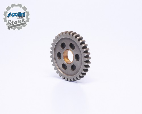 Ingranaggio cambio fantic - ingranaggio,