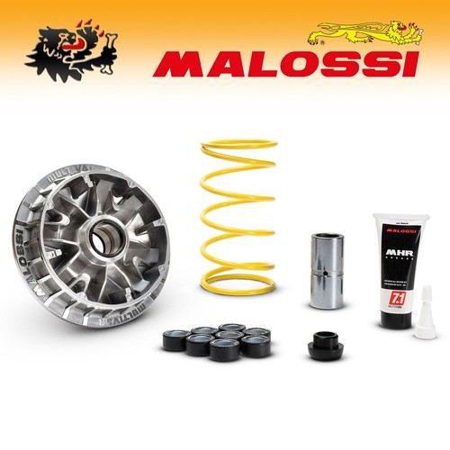 5120133 malossi variatore - [malossi],