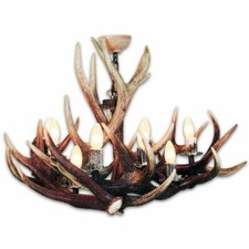 Lampadario con vere corna di