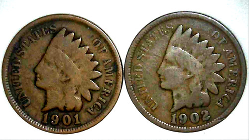 1901 1902 testa di - p,