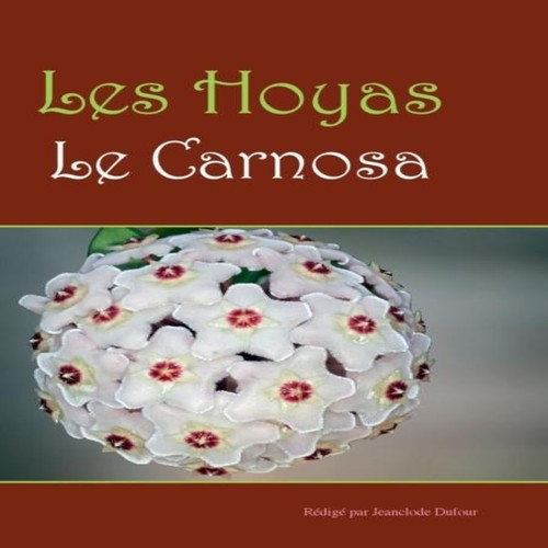 Les hoyasles carnosas - les,