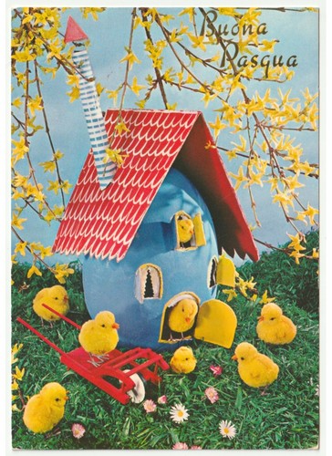 1972 foto cartolina - , vintage