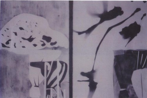 Bimal banerjee provocazioni - bimal,