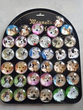 Set3 calamita