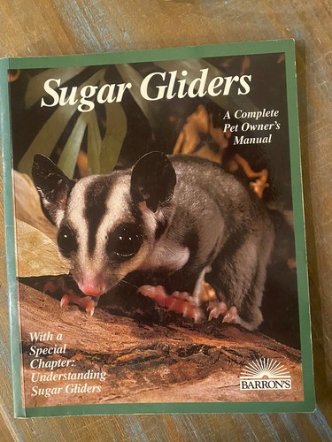 Sugar gliders complete pet - sugar,
