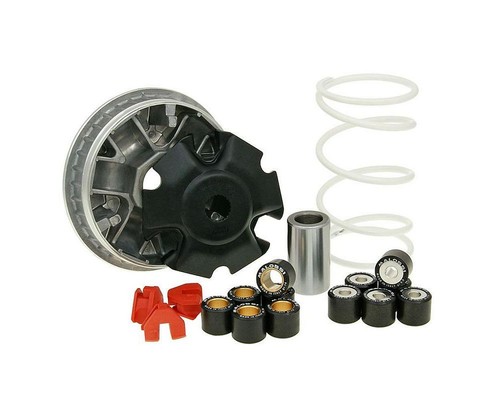 Variatore malossi multivar - variatore,