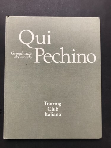 Grandi città del mondo - città,
