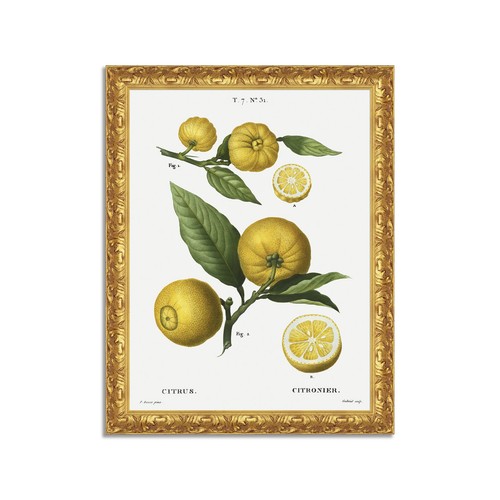 Quadro stampa tela effetto - quadro,