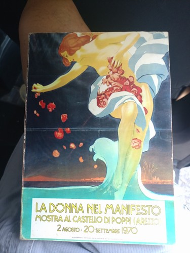 Donna nel manifesto mostra - donna,