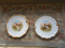 Set piatti uccellino gioco