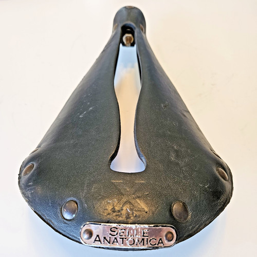 Sella selle anatomica - sella, x