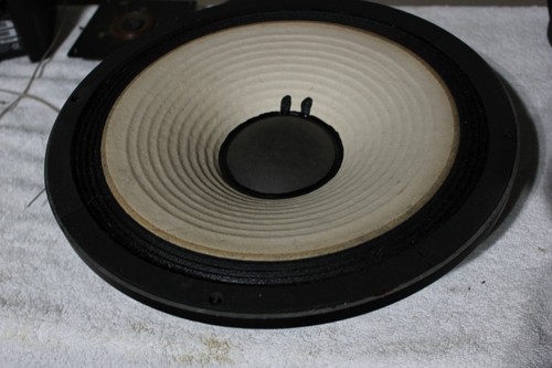 Splendido woofer oem jbl l100 - splendido,