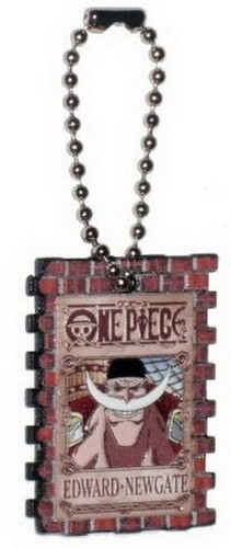 One piece ricercato - piece, ritratto