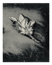 Elegante poster floreale da