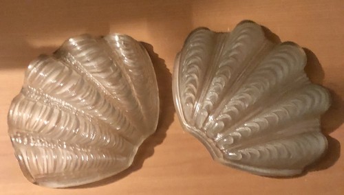 Grandi conchiglie vetro - 2,
