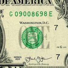 Flipper Fancy Serial Number